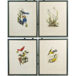 (After) John James Audubon (American, 1785-1851) Print Assortment