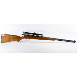 Sears Model 43 DL-103 .22 S, L, LR Cal. Rifle (Serial #19821)
