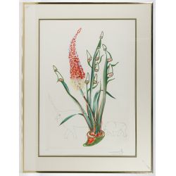 Salvador Dali (Spanish, 1904-1989) "Rhinoceros Stock" Lithograph