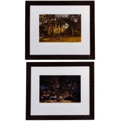 Frank Relle (American, b.1976) "Chestnut" and "Oak" Photographs