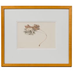 John Wickenberg (American, b.1944) "Skull and Leaf" Graphite and Watercolor on Paper