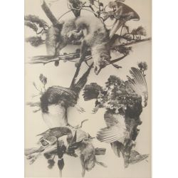 Martin Gerlach, (Austrian, 1879-1944) Silver gelatin photograph
