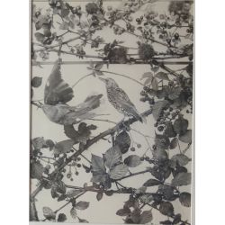 Martin Gerlach, (Austrian, 1879-1944) Silver gelatin photograph