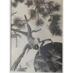 Martin Gerlach, (Austrian, 1879-1944) Silver gelatin photograph