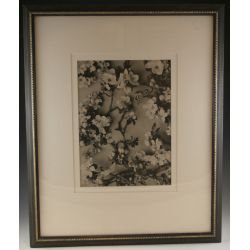 Martin Gerlach, (Austrian, 1879-1944) Silver gelatin photograph