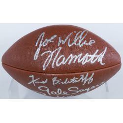 1990s Official NFL Football Signed by HOF Greats Joe Namath, Butkus, Sayers, Nitschke and Bilenitkoff